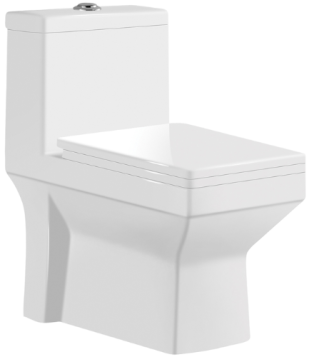 Toilet (WX178)