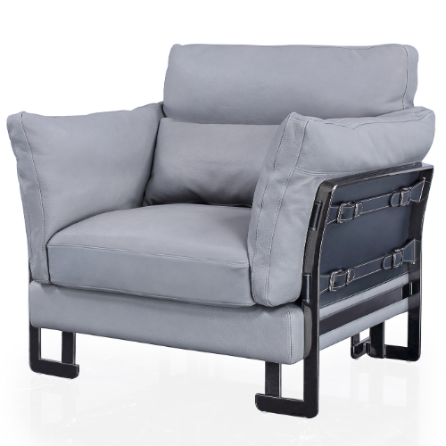 Vision Leisure Sofa (BP1176)