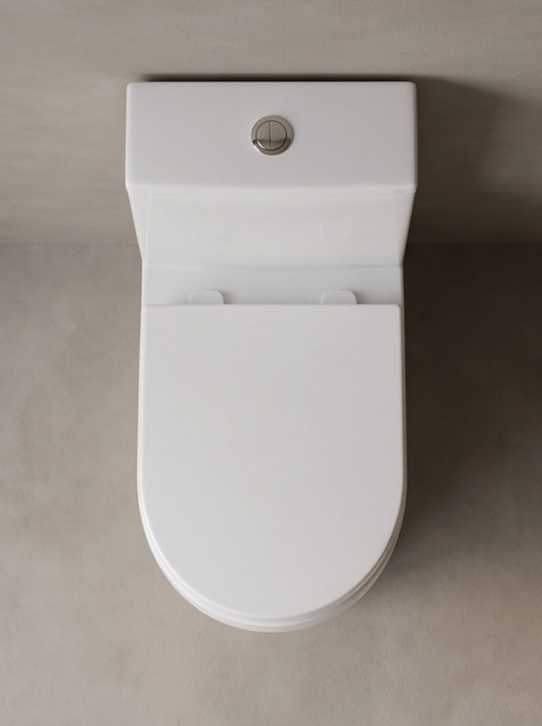 Split-Style Simple Siphon Toilet - Image 4