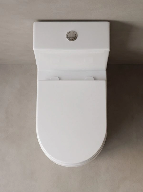 Split-Style Simple Siphon Toilet - Image 4