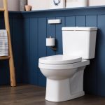 Split-Style Simple Siphon Toilet