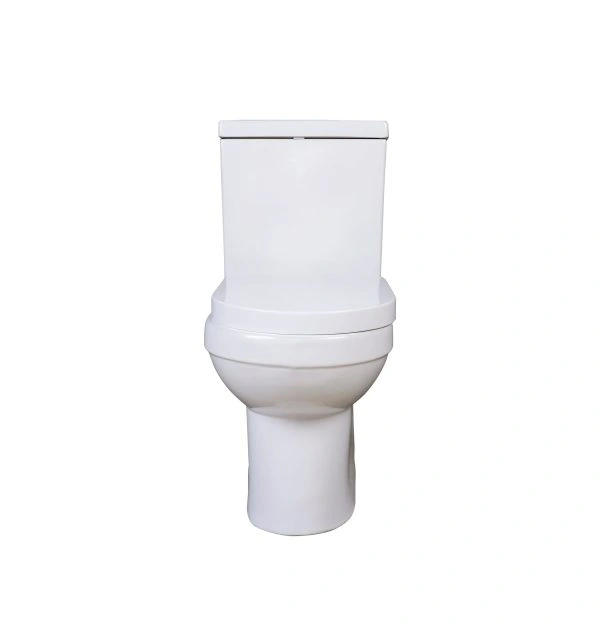 Split-Style Simple Siphon Toilet - Image 6